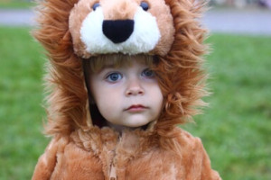 Little Lion Costume