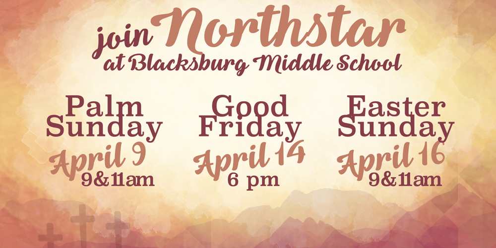 Miniature Donkeys are Coming!