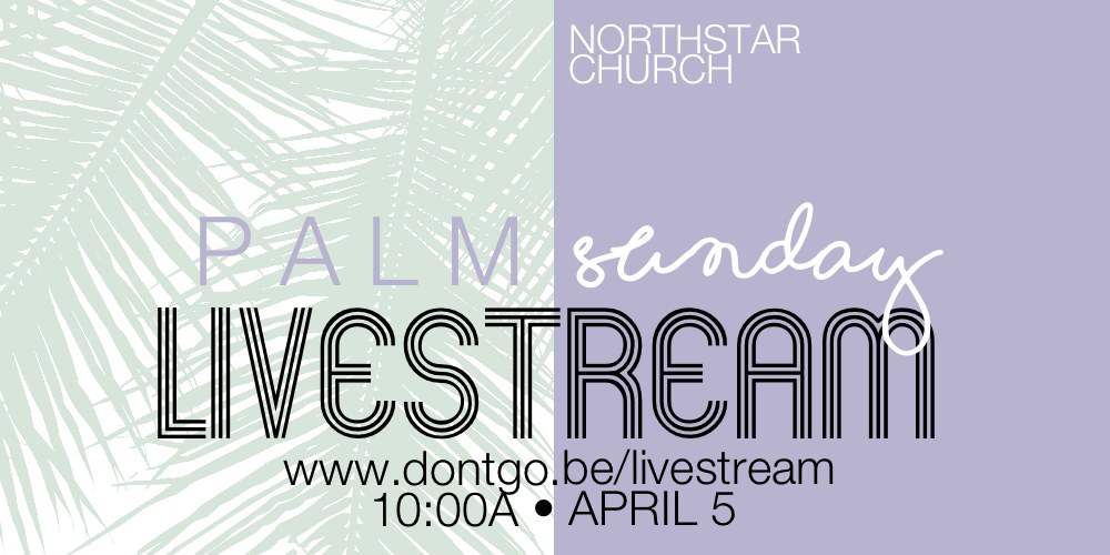 Palm Sunday: An Authority Announcement